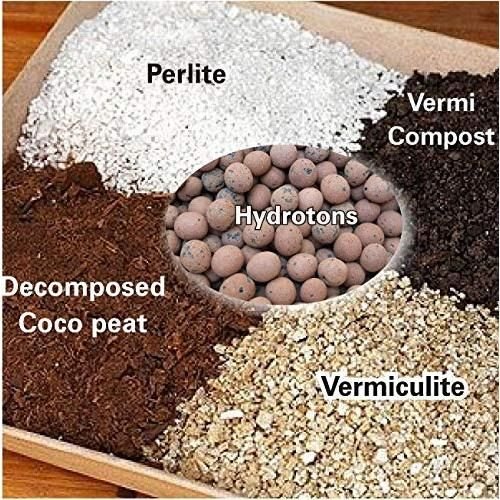 Indoor Plant Soil Guide: How To Choose The Right Potting Mix For Houseplants