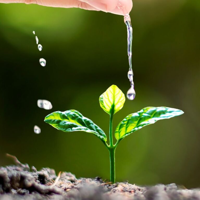  Indoor Plant Watering Guide 2026: How Often And How Much To Water Houseplants